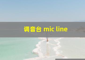 调音台 mic line